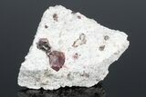 Raspberry Garnets (Rosolite) in Matrix - Mexico #175919-1